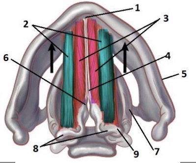<p>8</p>