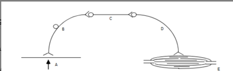 <p>Reflex Arc Diagram</p>