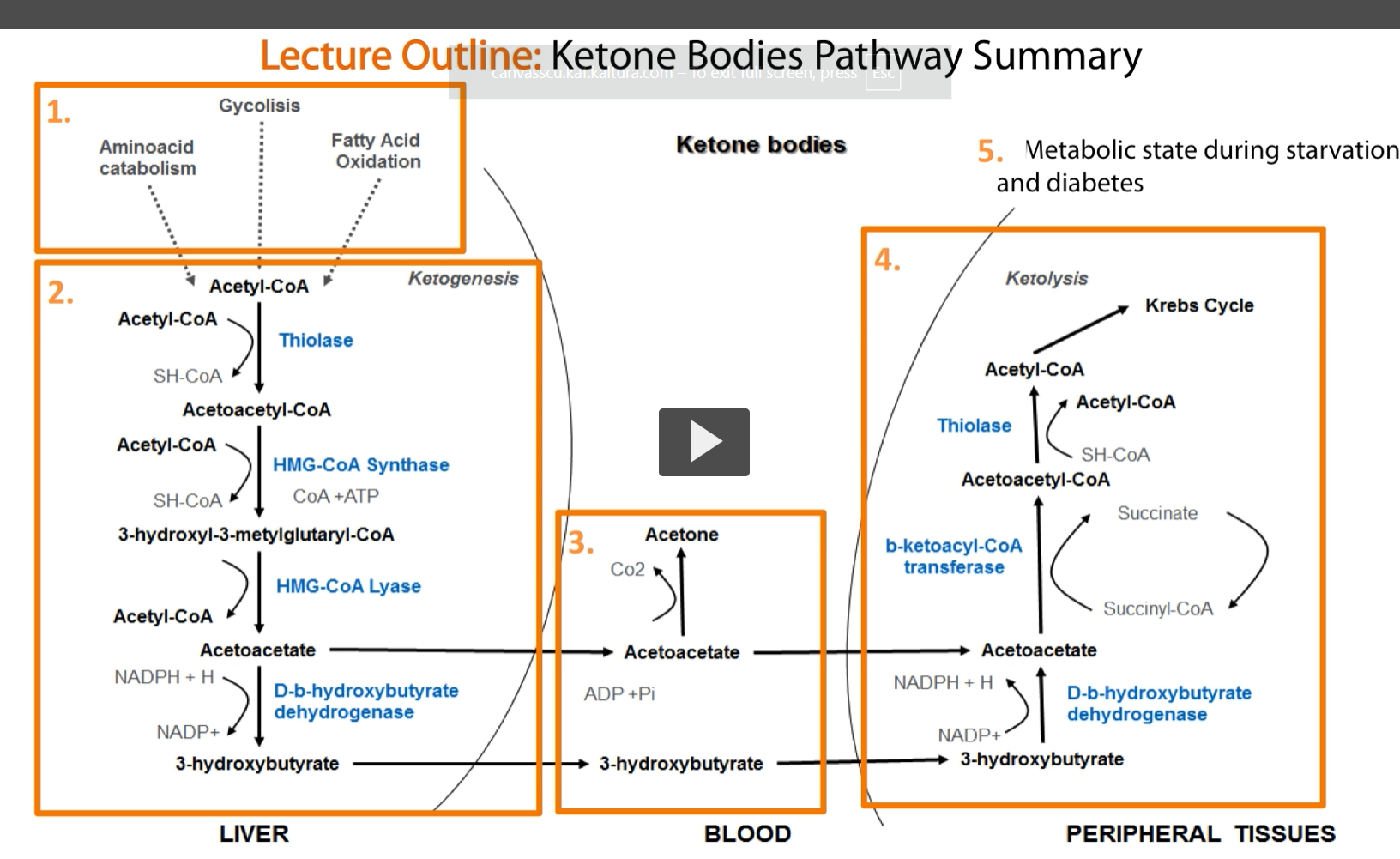 <p>The lecture is going to be divided into 5 subsections.</p>