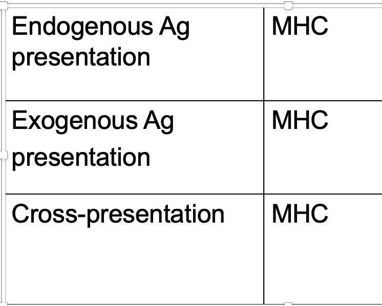 <p>What is the MHC complex</p>
