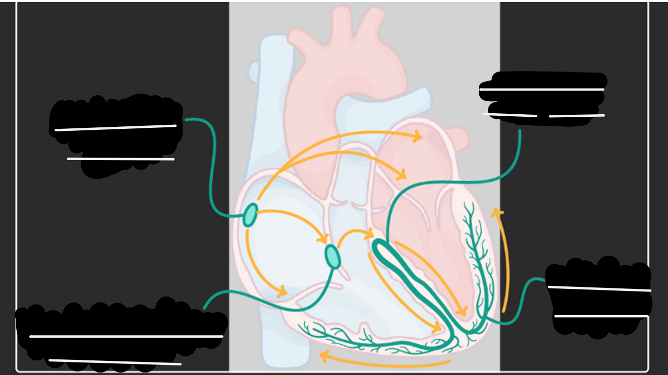 <p>fill in the gaps </p>
