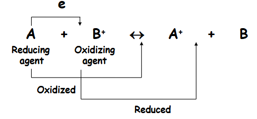 <ul><li><p>redox couple: A/A+ and B+/B</p></li></ul><p></p>