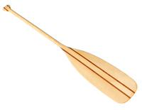 <p>a short pole with a wide blade used to move a canoe through water. She used the ___ to steer the canoe.</p>