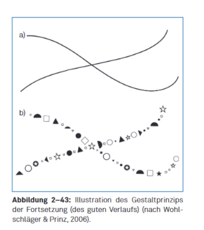 <ul><li><p>Bei sich kreuzenden Anordnungen nehmen wie typischerweise gleichmäßig weiter verlaufende Linien wahr, anstelle von abgeknickten Linien oder vier einzelne Linien </p></li><li><p>Dieses Gestaltprinzip bleibt dann erhalten, wenn die Linie nicht durchgehend ist, also wenn die Gruppierungen einzelner Elemente aufgrund des Prinzips hart Nähe entsteht </p></li></ul><p></p>