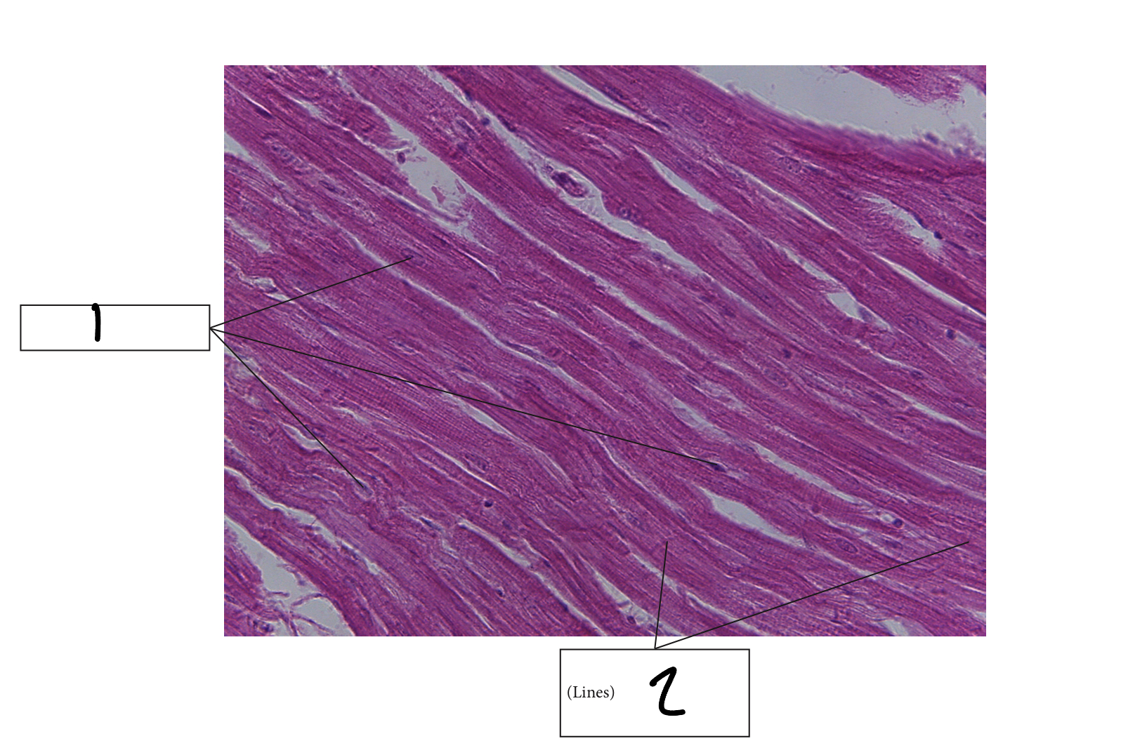 <p>1</p>