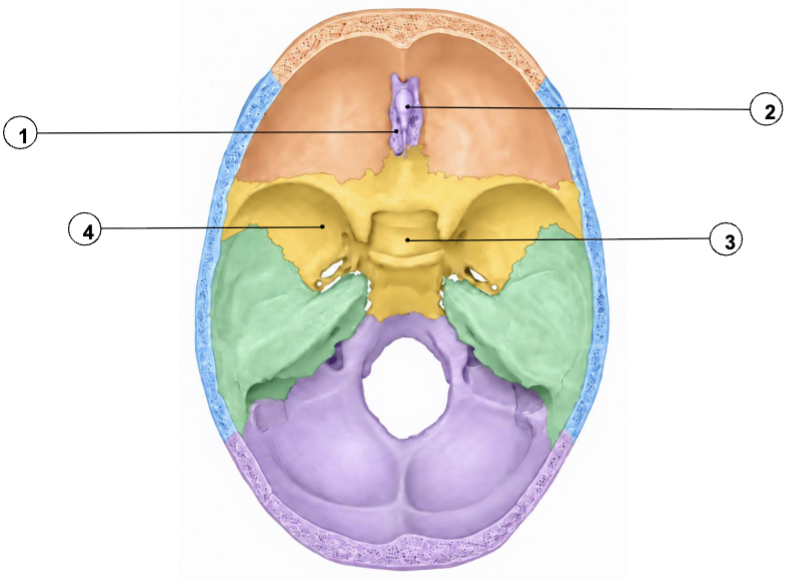 <p>#3</p>