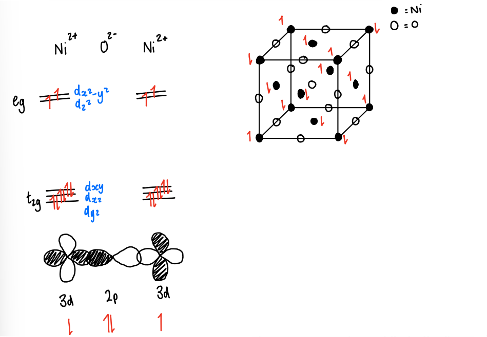 <p>In first row TM monoxides, the rock salt structure is adopted with the metal and oxygen in octahedral sites.</p><p>The two e<sub>g</sub> orbitals contain an u.p.e, these orbitals overlap with the filled oxygen 2p orbital. The electrons align antiparallel, giving an overall antiferromagnetic coupling.</p><ul><li><p>This effectively forms two Ni lattices with Ni spins ‘up’ and ‘down’, forming a sublattice.</p></li></ul><p></p>