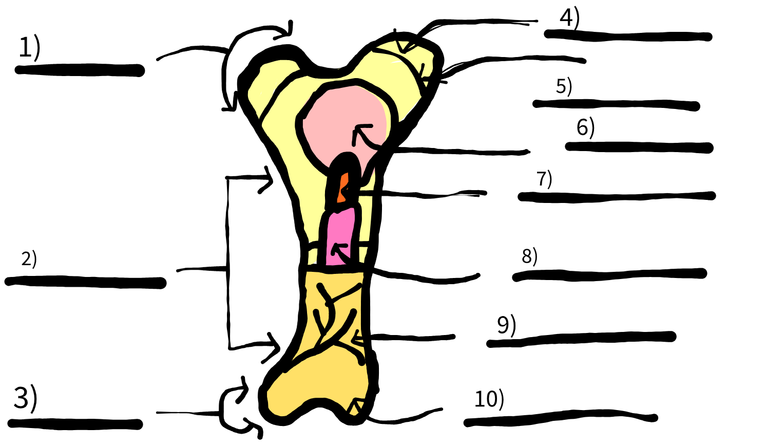 <p>#9</p>