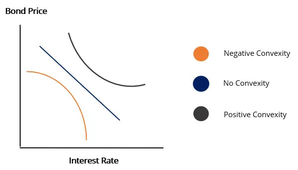 <p><span>occurs when a bond's price rises less for a downward yield move than it drops for an equal upward yield move</span></p>