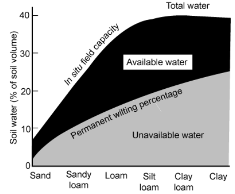 <p>Growth-limiting factors: #3. Water availability?</p>