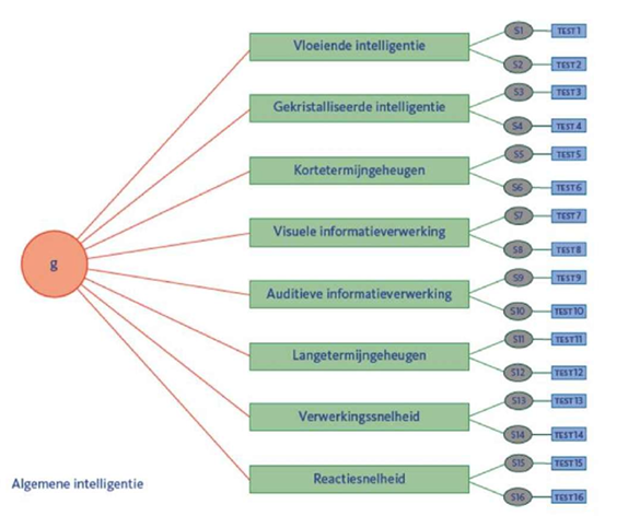 <p>Het Cattell-Horn-Carroll model; een hiërarchisch model waarbij algemene intelligentie (g) bovenaan staat, gevolgd door 8 brede intelligentievormen. Het CHC-model stelt dat gekristalliseerde en vloeiende intelligentie onderling verbonden zijn, beïnvloed door algemene intelligentie (g), en dit weerspiegelt een combinatie van de theorieën van <span style="color: green;">Spearman </span>en <span style="color: green;">Cattell.</span></p><ul><li><p>8 dim: </p><ul><li><p>intelligentie </p><ul><li><p>vloeiend </p></li><li><p>gekristalliseerd </p></li></ul></li><li><p>geheugen </p><ul><li><p>KTG</p></li><li><p>LTG</p></li></ul></li><li><p>infoverwerking </p><ul><li><p>visueel </p></li><li><p>auditief </p></li></ul></li><li><p>snelheid</p><ul><li><p>verwerking </p></li><li><p>reactie </p></li></ul></li></ul></li><li><p>(het hiërarchisch model van intelligentie) </p></li></ul><p></p>