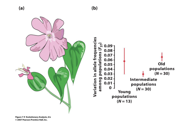 <p>Giles and Goudet (1997) Elaboration</p>