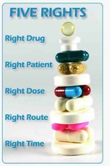 <p>Right documentation, right history and assessment, right to refuse, right drug-drug interaction evaluation, right education and information.</p>