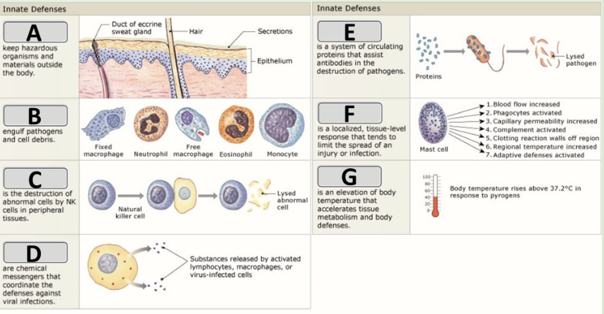 <p>Fever</p>