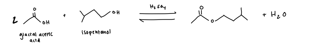 <p>reminder 2:1 ratio of carboxylic acid and alcohol</p>