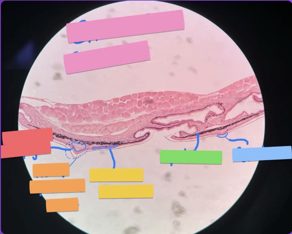 <p>What does the orange box represent?</p>