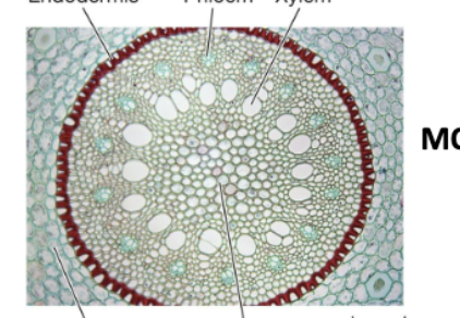 <p>Label each line (left to right, top to bottom)</p>