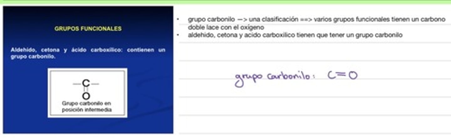 <ul><li><p>Estas tres moléculas orgánicas todas tienen un grupo funcional de carbonilo (C=O)</p></li></ul><p></p>