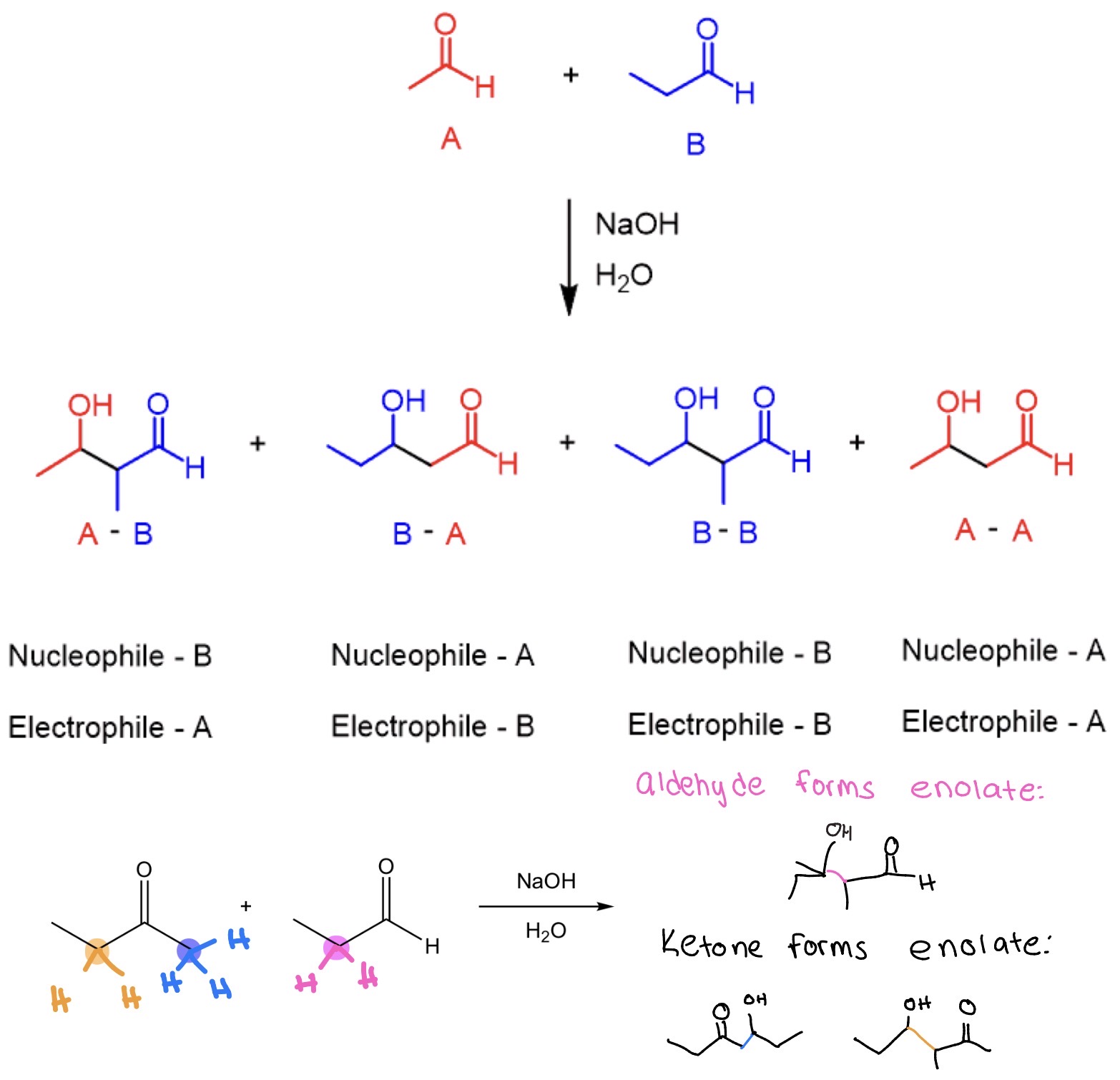 <p>Crossed Adol Addition</p><p>Aldehydes more reactive electrophilic bc less sterically hindered + less e- donating</p><p>ketone typically enolate donor</p><p></p>