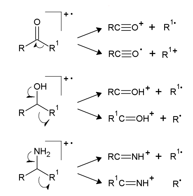 <p>homolytic breaking of the carbon-carbon bond adjacent to a functional group containing a heteroatom</p>