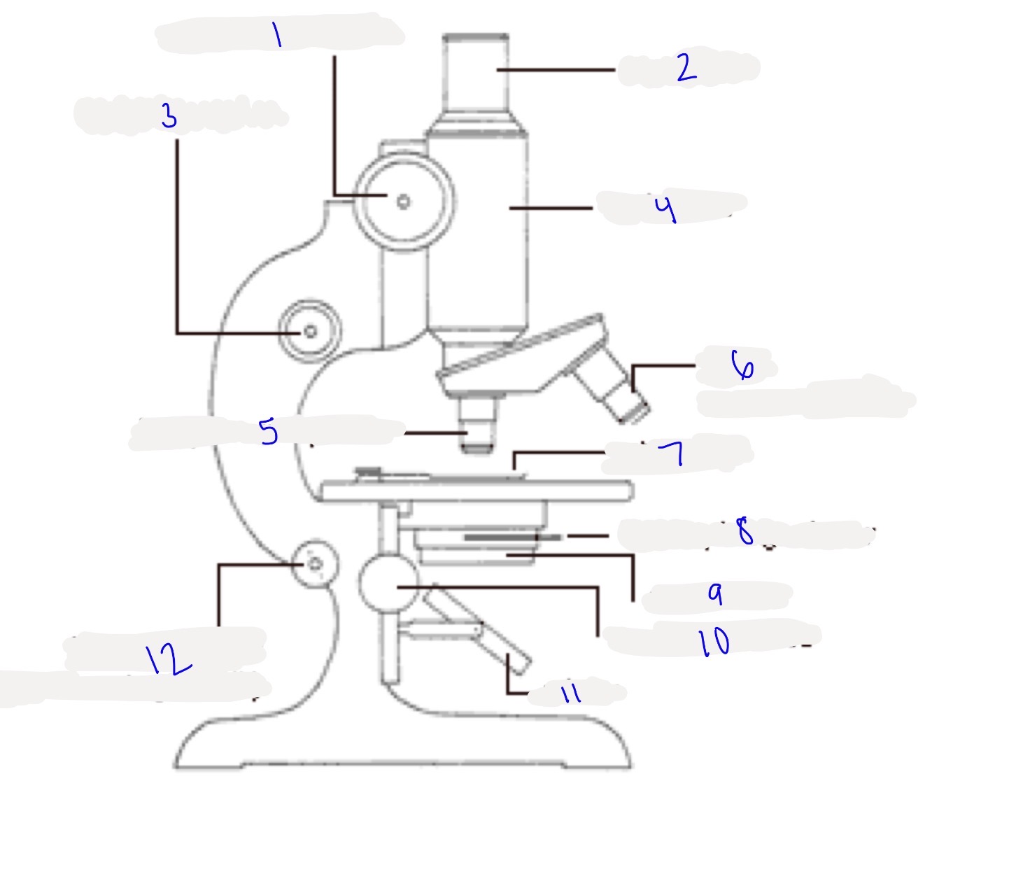 <p>type of microscope, where the light comes from, and parts labeled</p>