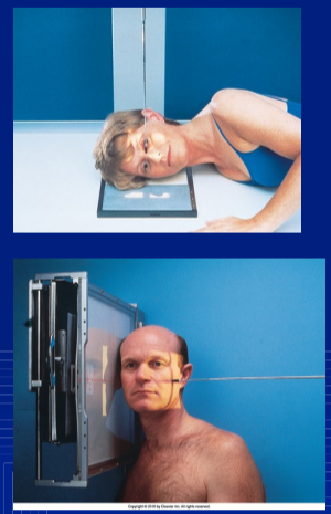<p>collim of LAT FACIAL BONES</p>