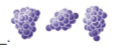 <p>The image shown is a ______.</p>