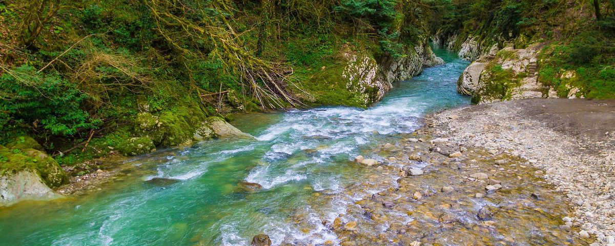 <p>Streams and Rivers</p>