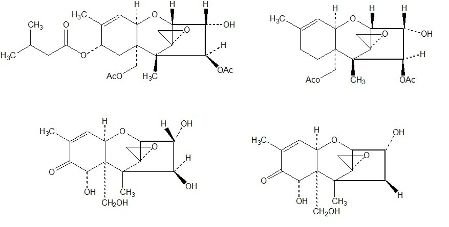 <p>deoxynivalenol (vomitoxin) {non macrocyclic}</p>