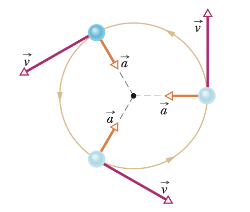<p>1)FIND CENTRIPETAL ACCELERATION</p><p>2)FIND VELOCITY</p>