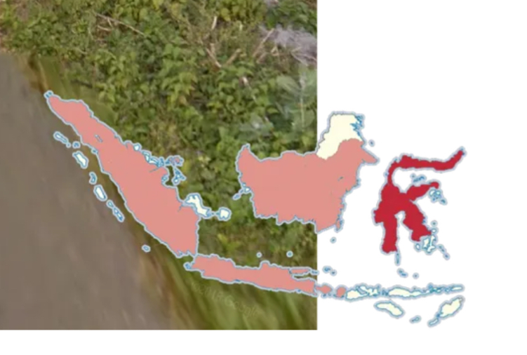 <p>Mainly Sulawesi</p>