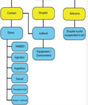 <p>What is<strong> portal of entry </strong>in chain of infection?</p>