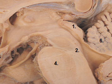 <p>1</p>