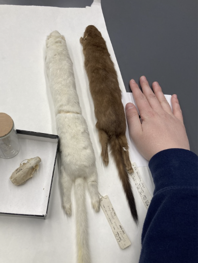 <p>What is this?</p>