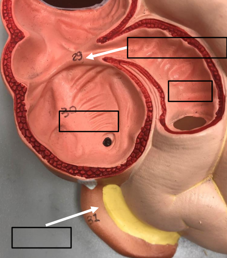 <p>Label this image.</p>