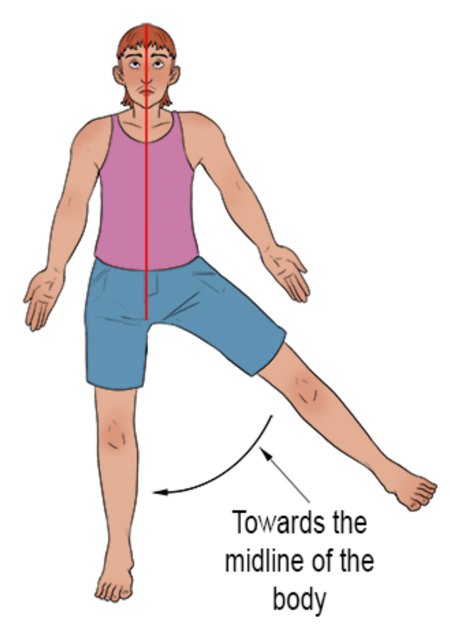 <p>______ is movement that moves a body part towards the body’s midline.</p>