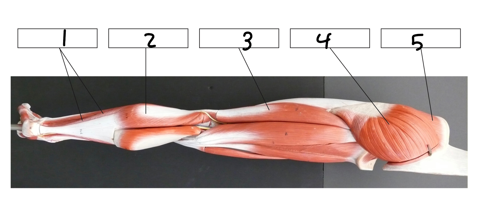 <p>3</p>