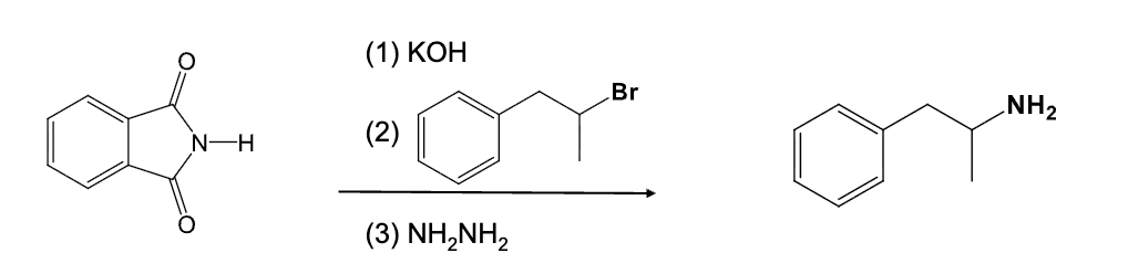 <p>Gabriel synthesis</p><ul><li><p>Reaction starts with pthalimide</p><img src="https://assets.knowt.com/user-attachments/9092b1a2-ad0a-41e4-918c-f6bc662e6d19.png" data-width="25%" data-align="center"></li><li><p>Makes primary amines</p></li></ul><p></p>