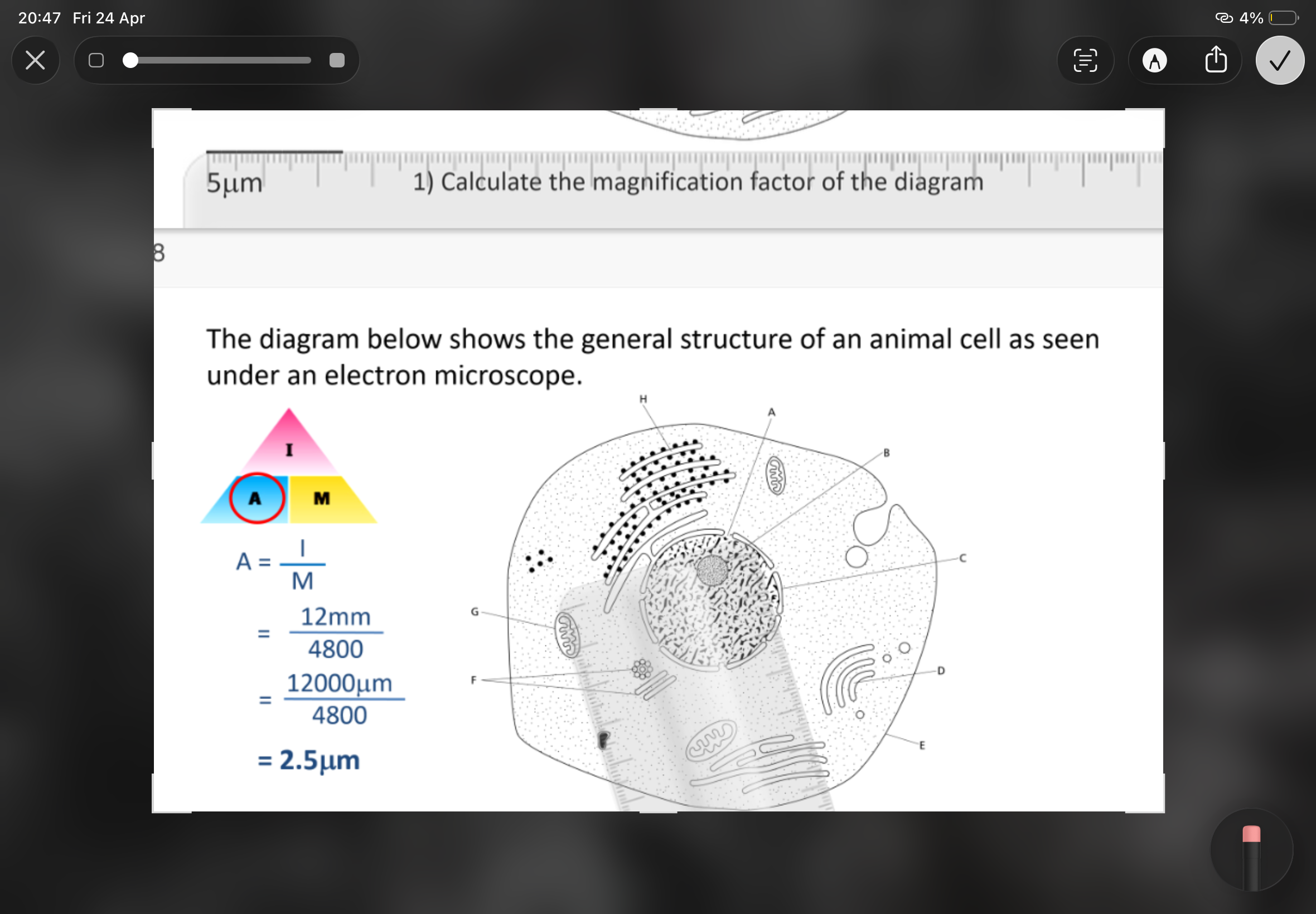 knowt flashcard image