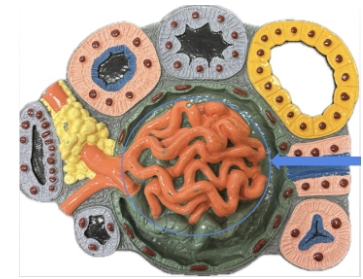 <p>name the parts</p>
