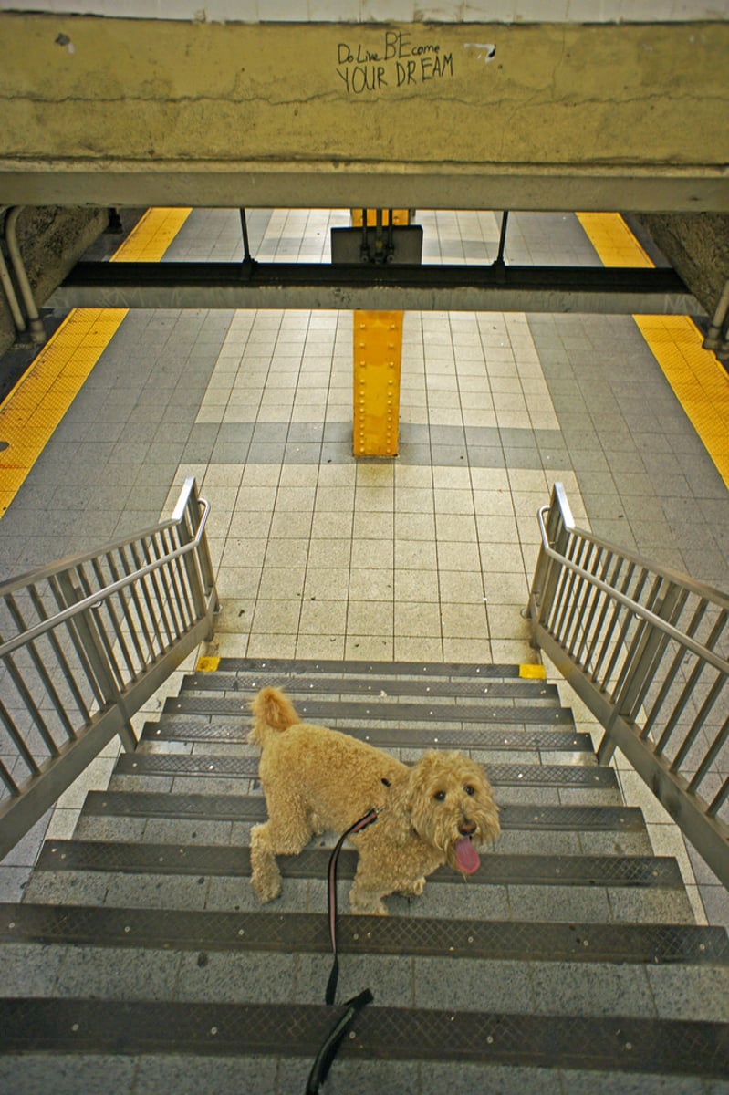 <p>to leave</p>