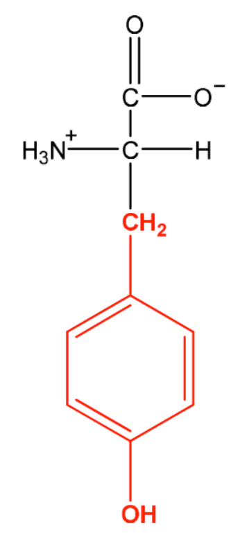 term image