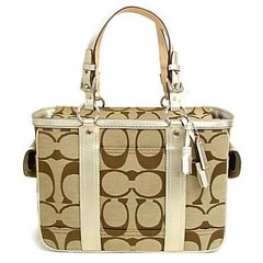 <p>purse, bag</p>
