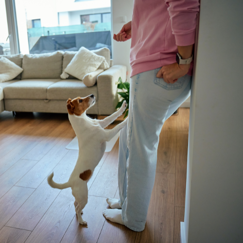 <p>Stand - <em>Stánd</em></p>