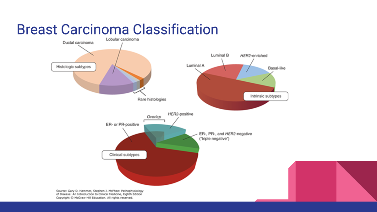 <p>Ductal/Lobular tissue</p><p></p><ul><li><p>Malignant epithelial tumor of the breast.</p></li><li><p>Histologic types:</p><ul><li><p><strong>Ductal carcinoma</strong></p></li><li><p><strong>Lobular carcinoma</strong></p></li></ul></li><li><p>Clinical classification is based on:</p><ul><li><p>Estrogen receptor (<strong>ER</strong>)</p></li><li><p>Progesterone receptor (<strong>PR</strong>)</p></li><li><p>Human epidermal growth factor receptor 2 (<strong>HER2</strong>)</p></li></ul></li><li><p>HER2-positive tumors may respond to HER2-targeted therapy</p></li></ul><p></p><p></p><p>Breast cancers are frequently classified using different classification systems. Three are shown here—histologic subtypes (top left), intrinsic subtypes (top right), and clinical subtypes (bottom)—with their proportional incidences shown via pie chart. The clinical subtypes, widely used in clinical management, do not divide breast cancers into exclusive categories, such that a cancer can be both ER/PR positive and HER2 positive (ie, HER2 amplified), as shown by the overlapping area in the bottom pie chart.</p>