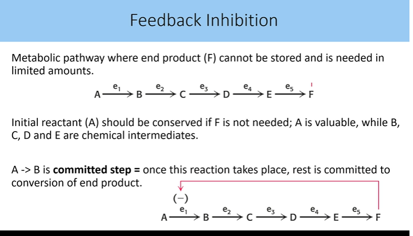 <p>the first step in a feedback inhibition pathway where once the reaction occurs, the rest is commited to the conversion of end product</p>