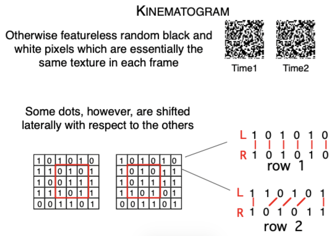 <ul><li><p>Kinematograms are similar to random dot stereograms, only with motion instead of disparity</p></li></ul><p></p><ul><li><p>Random dot kinematogram are just like these stereograms except here with stereograms I had a left eye image & a right eye image. </p></li><li><p>With kinematograms what I’m doing is just shifting them over time. Time 1, time 2, which is what lets me see the shape. </p></li></ul><p></p>