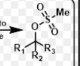 <p>or R-OMs</p>