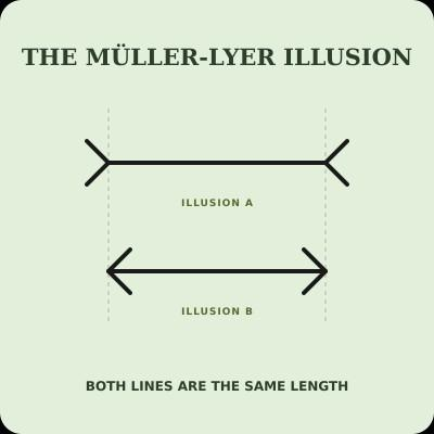 <p>Visual Distortion vs Visual Illusion</p>