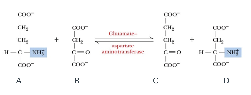 <p><span>Name the substrates and products in this reaction.</span></p>